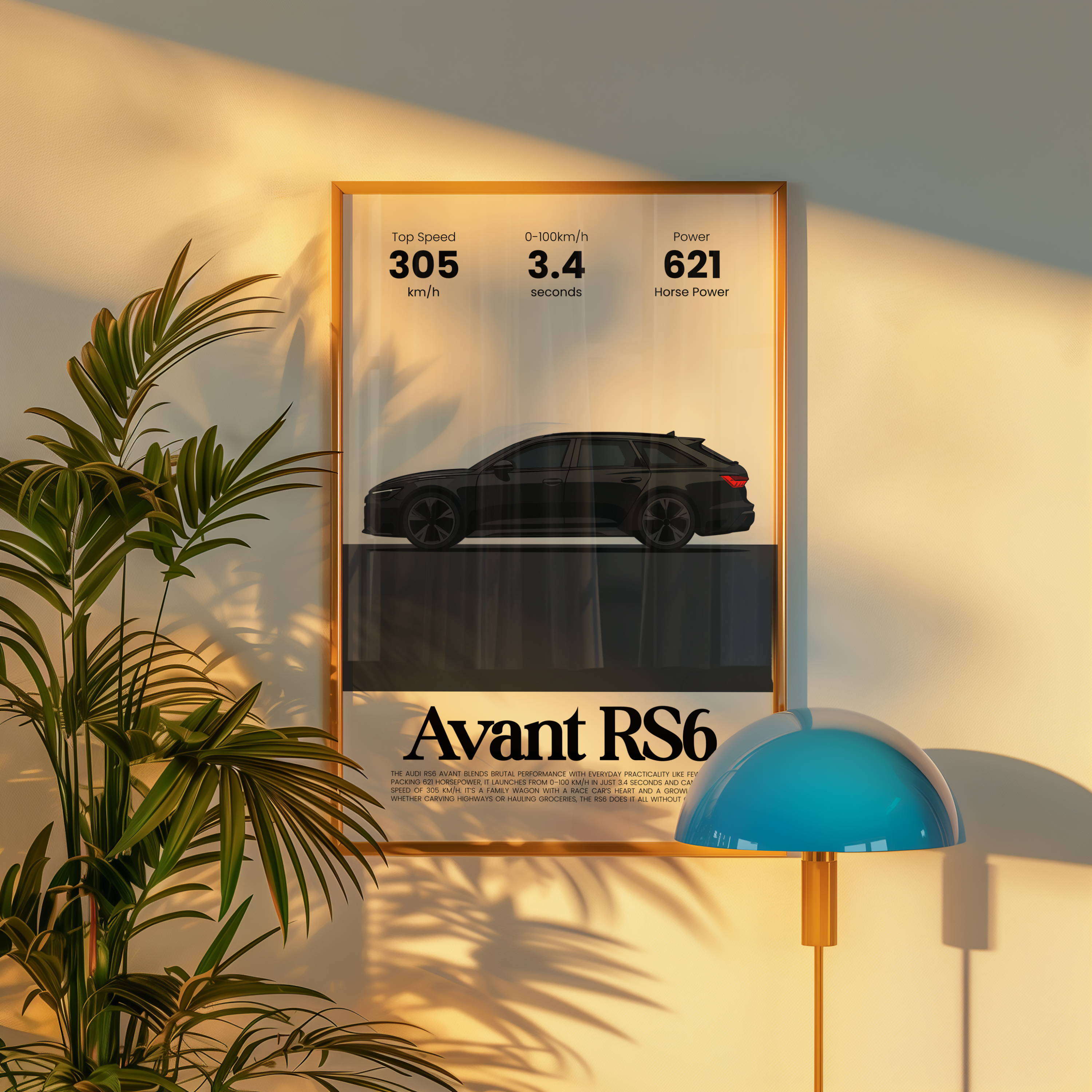 Rs6